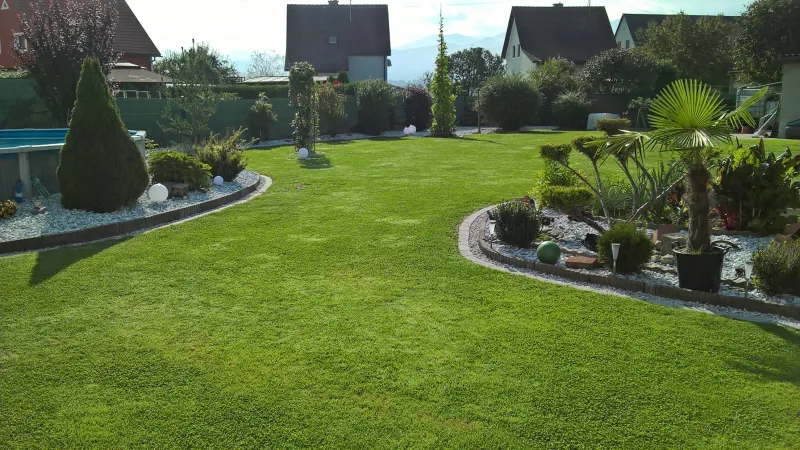 Große, gepflegte Gartenwiese der Hundepension mit Beeten